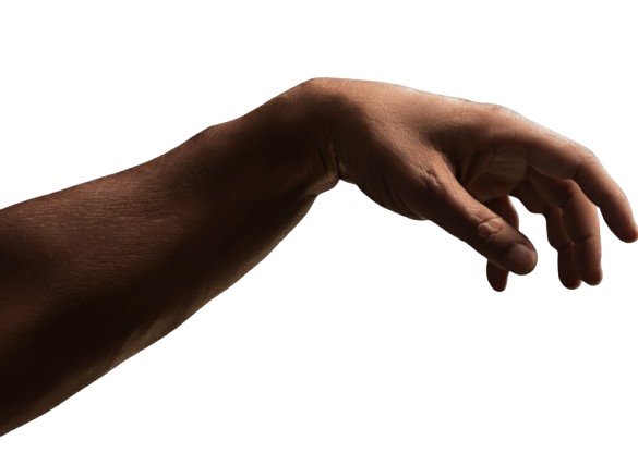Human Hand